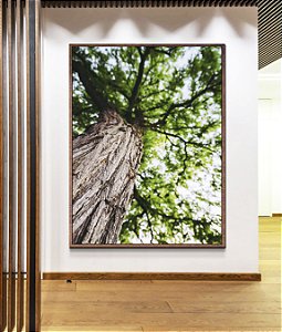 Quadro Vertical Árvore Folhas Verdes Trono Céu Claro Canvas Moldura