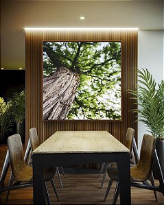 Quadro Quadrado Árvore Folhas Verdes Trono Céu Claro Canvas Moldura