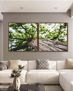 Duo de Quadros Quadrados Árvore Folhas Verdes Trono Céu Claro Canvas Moldura