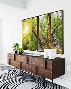 Duo de Quadros Copa de Árvore Natureza Luzes do Sol Folhas Verdes Arte Canvas Moldura