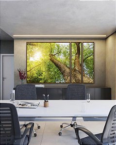 Trio de Quadros Estilizados Copa de Árvore Natureza Luzes do Sol Folhas Verdes Arte Canvas Moldura