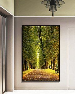 Quadro Vertical Estrada Árvores Natureza Banco Calmaria Arte Canvas Moldura