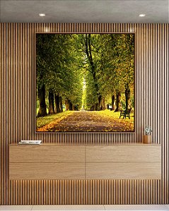 Quadro Quadrado Estrada Árvores Natureza Banco Calmaria Arte Canvas Moldura