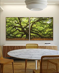 Duo de Quadros Quadrados Árvore da Vida com Galhos Fortes Folhas Verdes Natureza Arte Canvas Moldura