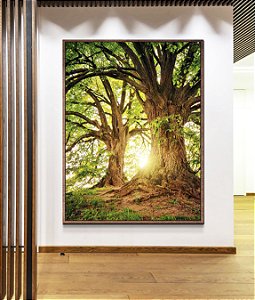 Quadro Vertical Árvores da Vida Sob a Luz do Sol Natureza Arte Canvas Moldura