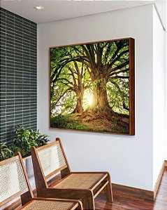 Quadro Quadrado Árvores da Vida Sob a Luz do Sol Natureza Arte Canvas Moldura
