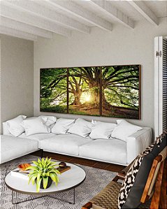 Trio de Quadros Árvores da Vida Sob a Luz do Sol Natureza Arte Canvas Moldura