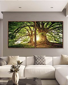 Duo de Quadros Quadrados Árvores da Vida Sob a Luz do Sol Natureza Arte Canvas Moldura