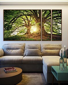 Trio de Quadros Estilizados Árvores da Vida Sob a Luz do Sol Natureza Arte Canvas Moldura