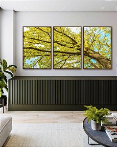 Trio de Quadros Árvore com Folhas Verde Claro e Céu Limpo Turquesa Arte Canvas Moldura