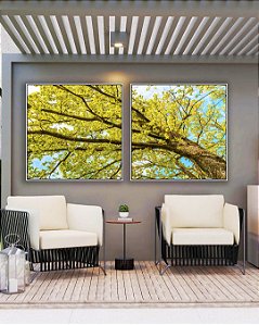 Duo de Quadros Quadrados Árvore com Folhas Verde Claro e Céu Limpo Turquesa Arte Canvas Moldura