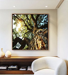 Quadro Quadrado Árvore Folhas Verdes Céu Azul Turquesa Canvas Moldura