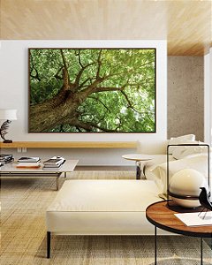 Quadro Horizontal Copa de Árvore Folhagem Verde Viva Paisagem Canvas Moldura