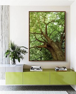 Quadro Vertical Copa de Árvore com Folhagem Verde Viva Paisagem Canvas Moldura