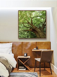 Quadro Quadrado Copa de Árvore com Folhagem Verde Viva Paisagem Canvas Moldura