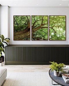 Trio de Quadros Copa de Árvore com Folhagem Verde Viva Paisagem Canvas Moldura