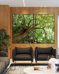 Duo de Quadros Copa de Árvore com Folhagem Verde Viva Paisagem Canvas Moldura