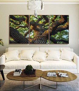 Trio de Quadros Árvore Tronco Galhos Folhas Verdes Natureza Canvas Moldura
