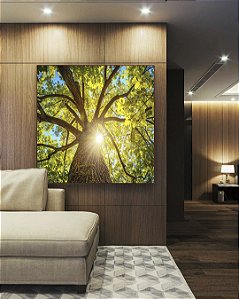 Quadro Quadrado Árvore Folhas Verdes Sol Céu Azul Canvas Moldura