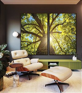 Duo de Quadros Árvore Folhas Verdes Sol Céu Azul Canvas Moldura