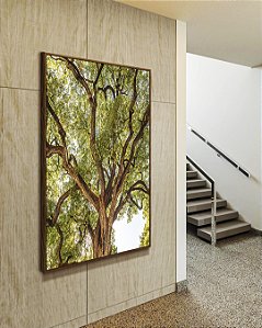 Quadro Vertical Copa de Árvore Céu Claro Natureza Canvas Moldura
