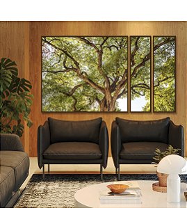 Trio de Quadros Estilizados Copa de Árvore Céu Claro Natureza Canvas Moldura