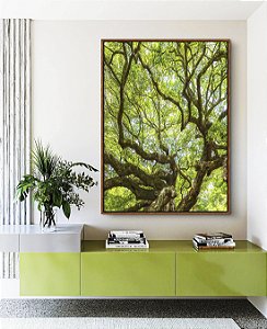 Quadro Vertical Copa de Árvore Galhos Folhas Verde Vivo Natureza Canvas Moldura