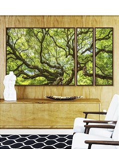 Trio de Quadros Estilizados Copa de Árvore Galhos Folhas Verde Vivo Natureza Canvas Moldura