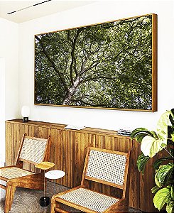 Quadro Horizontal Floresta Copa de Árvore Folhas Verdes Natureza Canvas Moldura