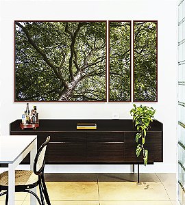 Trio de Quadros Estilizados Floresta Copa de Árvore Folhagem Canvas Moldura