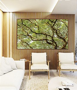 Quadro Horizontal Copa de Árvore com Galhos e Folhas Natureza Paisagem Canvas Moldura