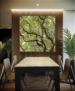 Quadro Quadrado Copa de Árvore com Galhos e Folhas Natureza Paisagem Canvas Moldura