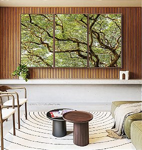 Trio de Quadros Copa de Árvore com Galhos e Folhas Natureza Paisagem Canvas Moldura