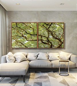 Duo de Quadros Quadrados Copa de Árvore com Galhos e Folhas Natureza Paisagem Canvas Moldura