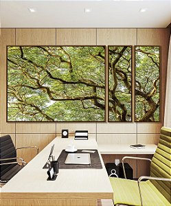 Trio de Quadros Estilizados Copa de Árvore com Galhos e Folhas Natureza Paisagem Canvas Moldura