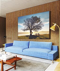 Quadro Horizontal Árvore Banco Céu Azul e Luzes do Sol Paisagem Canvas Moldura