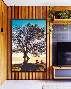 Quadro Vertical Árvore Banco Céu Azul e Luzes do Sol Paisagem Canvas Moldura