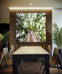 Quadro Quadrado Árvore Folhas Verdes e Tronco Paisagem Canvas Moldura