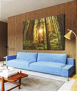 Quadro Horizontal Floresta Árores Luzes do Sol Natureza Canvas Moldura