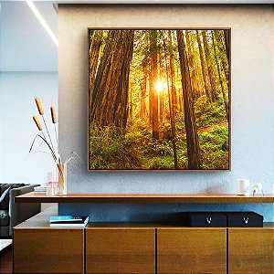 Quadro Quadrado Floresta Árvores Luzes do Sol Natureza Canvas Moldura