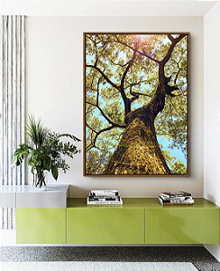 Quadro Vertical Árvore Galhos Céu Turquesa Claro Natureza Paisagem Canvas Moldura