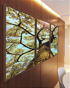 Trio de Quadros Árvore Galhos Céu Turquesa Claro Natureza Paisagem Canvas Moldura