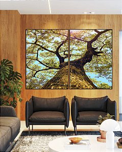 Duo de Quadros Árvore Galhos Céu Turquesa Claro Natureza Paisagem Canvas Moldura