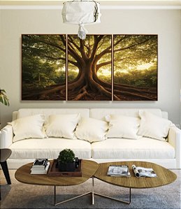 Trio de Quadros Árvore em Floresta e Luzes do Sol Natureza Canvas Moldura