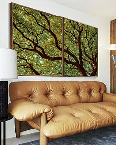 Duo de Quadros Copa de Árvore Céu Azul Turquesa Natureza Canvas Moldura