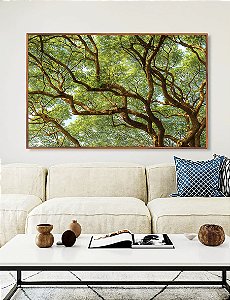 Quadro Horizontal Copa de Árvore Natureza Paisagem Canvas Moldura