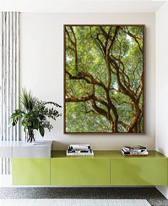 Quadro Vertical Copa de Árvore Natureza Paisagem Canvas Moldura