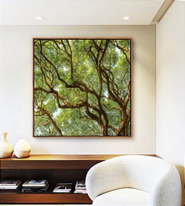Quadro Quadrado Copa de Árvore Natureza Paisagem Canvas Moldura