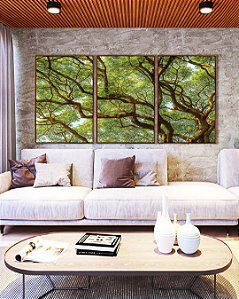 Trio de Quadros Copa de Árvore Natureza Paisagem Canvas Moldura