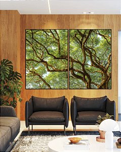 Duo de Quadros Copa de Árvore Natureza Paisagem Canvas Moldura
